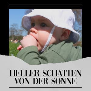Heller Schatten von Der Sonne - Waldgeräusche