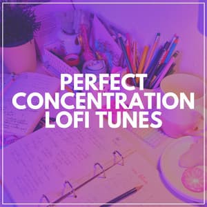 Perfect Concentration Lofi Tunes - Lofi DreamHop