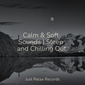 Calm & Soft Sounds | Sleep and Chilling Out - Relaxing Mindfulness Meditation Relaxation Maestro