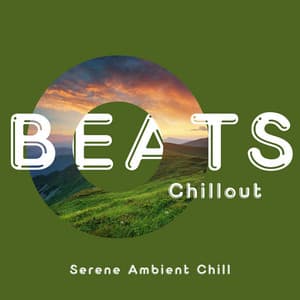 Serene Ambient Chill: Relaxing Beats for Peaceful Evenings - Beats Chillout