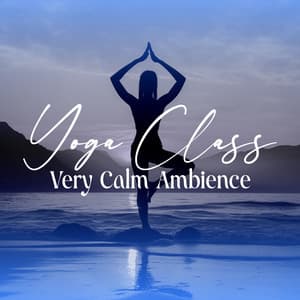 Yoga Class Very Calm Ambience - Yin Yoga Academy