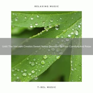 Until The Vacuum Creates Sweet Notes Devoted To Your Comfort And Relax - Natural White Noise Relaxation