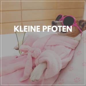 Kleine Pfoten - Hundemusik
