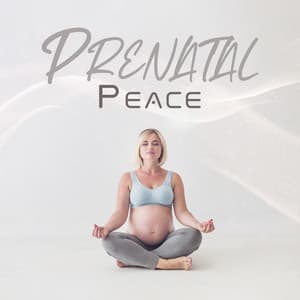Prenatal Peace: Pregnancy Relaxation for You and Your Baby - Pregnant Women Music Company