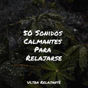 50 Sonidos Calmantes Para Relajarse - Canção de Ninar Bebê