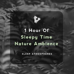 1 Hour of Sleepy Time Nature Ambience - Sleep Atmospheres