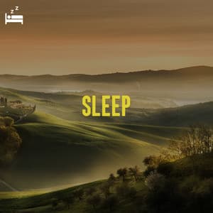 Sleep - Deep Sleep Music Lab