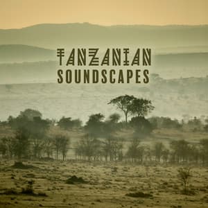 Tanzanian Soundscapes - African Wild World