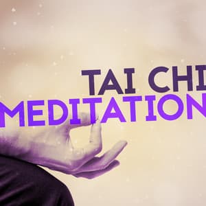 Tai Chi Meditation - Tai Chi And Qigong