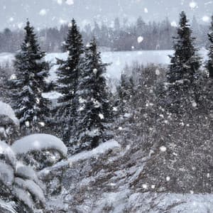 Snowfall in Sapporo - Asian Lofi