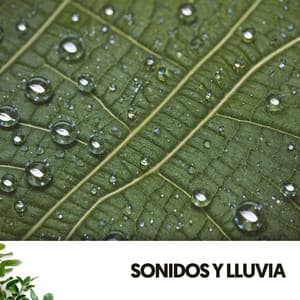 Sonidos y Lluvia: Melodías acuáticas de la naturaleza - Ruido Blanco Hart