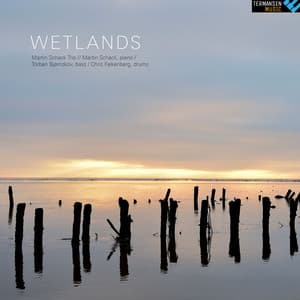 Wetlands - Martin Schack