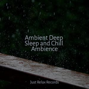 Ambient Deep Sleep and Chill Ambience - Study Hard
