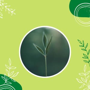 Uplifting - Lettura di Musica