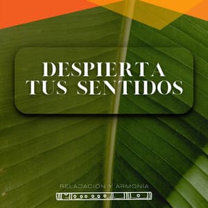 Despierta Tus Sentidos - Relajación y Armonía