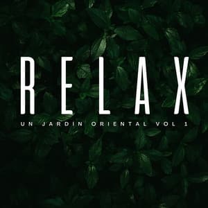 Relax: Un Jardín Oriental Vol. 1 - Jardín del tiempo