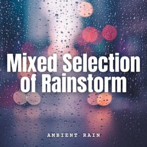 Ambient Rain: Mixed Selection of Rainstorm - Ocean Sounds Plus