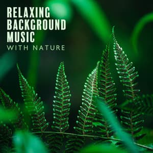 Relaxing Background Music with Nature Oasis: Breathing Exercises for Anxiety - Zen Natural Sounds