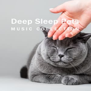 Deep Sleep Pets Music Collection –Nature Sounds Therapy & Soothing Ocean Waves - Pets Music