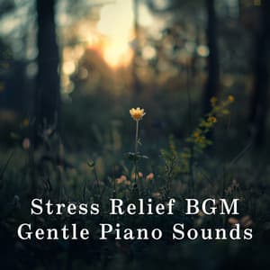 Stress Relief BGM: Gentle Piano Sounds - Dream House