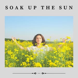 Soak up the Sun - Transcendental Meditation