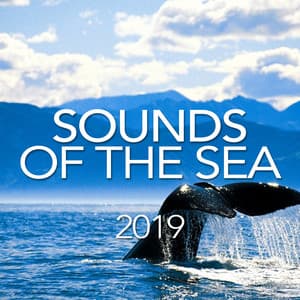 Sounds Of The Sea 2019 - Sounds Of The Sea