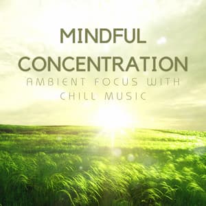 Mindful Concentration: Ambient Focus with Chill Music - arimindful