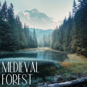 Medieval Forest - Serenity Nature Sounds Academy