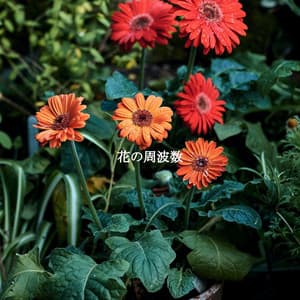 花の周波数 - Coffee Shop Music Deluxe