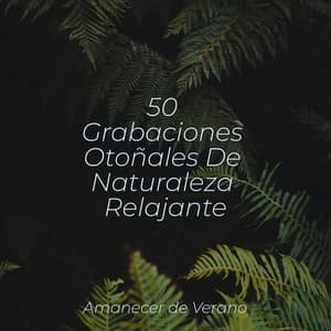 50 Grabaciones Otoñales De Naturaleza Relajante - Lullabies for Deep Meditation