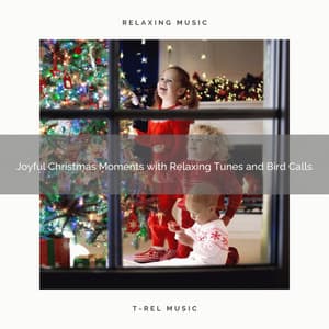 Joyful Christmas Moments with Relaxing Tunes and Bird Calls - Relaxing Music Therapy