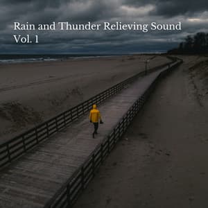 Rain and Thunder Relieving Sound Vol. 1 - Recorder Rain