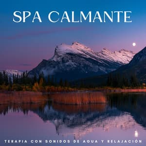 Spa Calmante: Terapia Con Sonidos De Agua Y Relajación - Aquaplasma