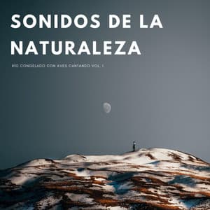 Sonidos De La Naturaleza: Río Congelado Con Aves Cantando Vol. 1 - Ruido De Colores