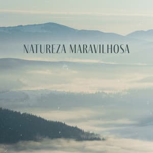 Natureza Maravilhosa: Sono & Relaxamento Graças aos Sons Naturais da Terra, Som Suavizante da Chuva - Hipnose Natureza Sons Coleção
