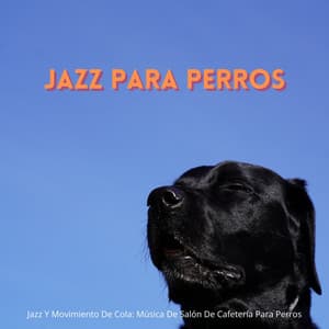 Jazz Y Movimiento De Cola: Música De Salón De Cafetería Para Perros - Lounge Music Playlist