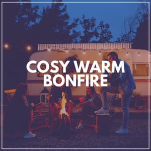 Cosy Warm Bonfire - Fire Sounds Sleep