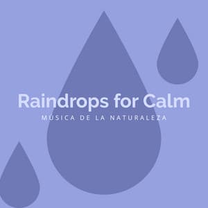 Raindrops for Calm - Música de la Naturaleza