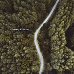 Thinkspace - Tommy Harmony