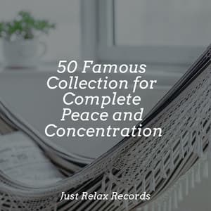 50 Famous Collection for Complete Peace and Concentration - Spa Relaxation & Spa