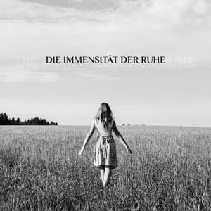Die Immensität der Ruhe - Lange und Friedvolle Meditation für Tiefere Konzentration und Konzentration - Entspannende Musik Wellness