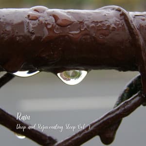 Rain: Deep and Rejuvenating Sleep Vol. 1 - Meditation Rain Sounds