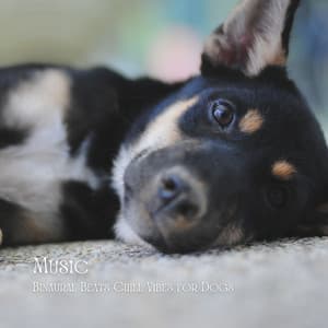 Music: Binaural Beats Chill Vibes for Dogs - Relax My Dog Music