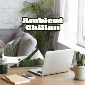 Ambient Chillax - Office Music Experts