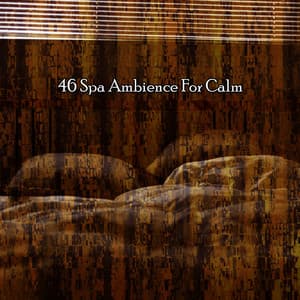 46 Spa Ambience For Calm - Best Relaxation Music