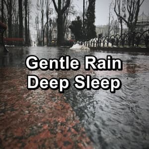 Gentle Rain Deep Sleep - Nature & Sounds Backgrounds