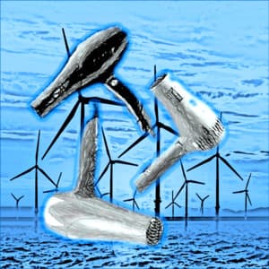 Hair Dryer Collection - Hush Little Baby