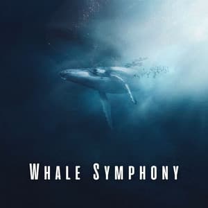 Whale Symphony: Underwater Sleep Soundscapes - Waves Of Time