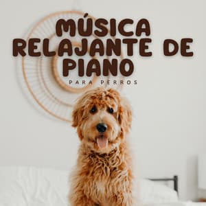 Música Relajante De Piano Para Perros - Jazz relajante para perros