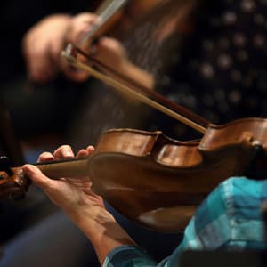 Deep Relaxation Orchestra for Meditation and Calm - Raymond Floyd